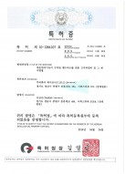 Certificate of Patent RF